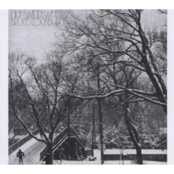 Capa do artigo High Winds White Sky - CD