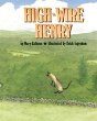 High-Wire Henry - Preview