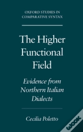 Higher Functional Field