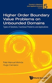 Capa do artigo Higher Order Boundary Value Problems On Unbounded Domains: Types Of Solutions, Functional Problems And Applications