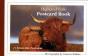 Highland Cow Postcard Book - Preview