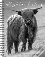 Capa do artigo Highland Cows 2027 Engagement