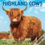 Capa do artigo Highland Cows 2027 Mini