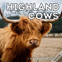 Capa do artigo Highland Cows Calendar 2021