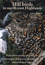 Hill Birds In North-East Highlands