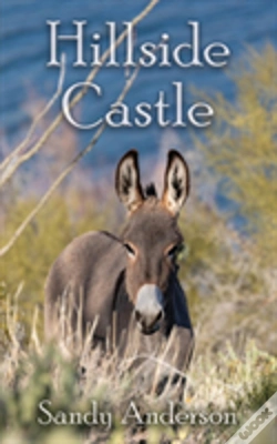 Capa do artigo Hillside Castle