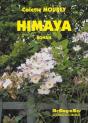 Himaya - Preview