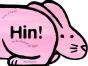 Hin ! Ou La Chanson Du Lapin - Preview