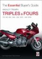 Hinckley Triumph Triples And Fours 750, 900 - Preview