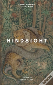 Capa do artigo Hindsight