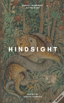 Capa do artigo Hindsight
