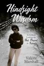 Hindsight Wisdom - Preview