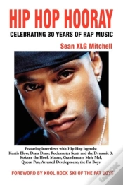 Capa do artigo Hip Hop Hooray:  Celebrating 30 Years Of