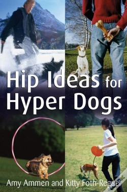 Capa do artigo Hip Ideas For Hyper Dogs