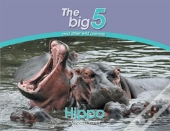 Hippo