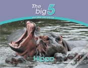 Capa do artigo Hippo