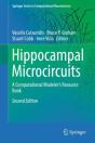 Hippocampal Microcircuits - Preview