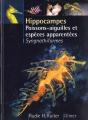 Hippocampes Dragons De Mer Poissons Aiguilles Et Especes - Preview