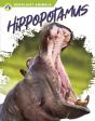 Hippopotamus - Preview