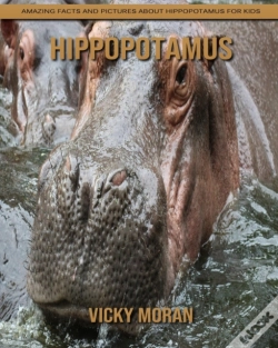 Capa do artigo Hippopotamus