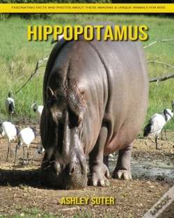 Capa do artigo Hippopotamus