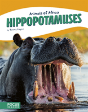 Hippopotamuses - Preview