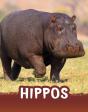 Hippos - Preview