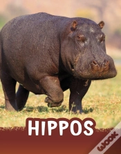 Capa do artigo Hippos