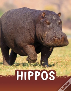Capa do artigo Hippos