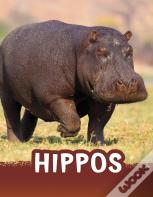 Hippos