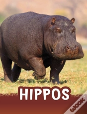 Capa do artigo Hippos