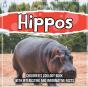 Hippos - Preview