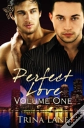 His Perfect Partner