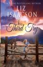 His Third Try - Preview
