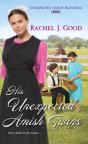 His Unexpected Amish Twins - Preview