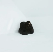 Capa do artigo Hiss Spun - Vinil