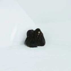 Capa do artigo Hiss Spun - Vinil