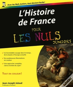Capa do artigo Histoire De France Pour Les Nuls Junior
