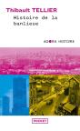 Histoire De La Banlieue - Preview