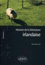 Histoire De La Littérature Irlandaise - Preview