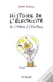 Histoire De L'Électricité : De L'Ambre À L'Électron