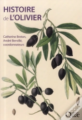Histoire De L'Olivier