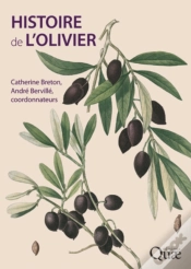 Capa do artigo Histoire De L