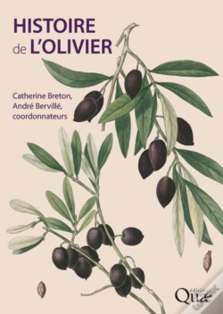 Capa do artigo Histoire De L'Olivier