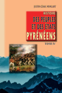 Histoire Des Peuples Et Des États Pyrénéens Tome 4 - Preview