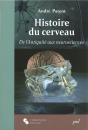 Histoire Du Cerveau ; De L'Antiquité Aux Neurosciences - Preview