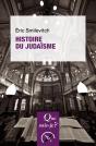 Histoire Du Judaïsme - Preview