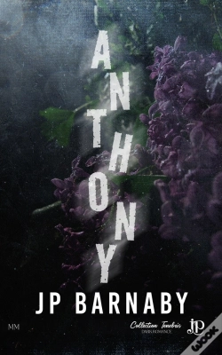 Capa do artigo Histoire D'Un Survivant Tome 4 : Anthony