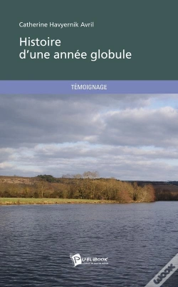 Capa do artigo Histoire D'Une Annee Globule