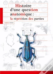 Capa do artigo Histoire D